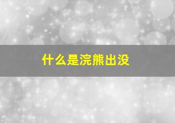 什么是浣熊出没