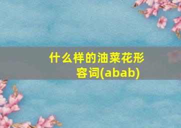 什么样的油菜花形容词(abab)