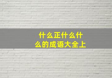 什么正什么什么的成语大全上