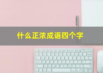 什么正浓成语四个字