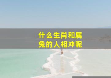 什么生肖和属兔的人相冲呢