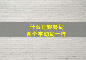 什么田野叠词两个字动词一样