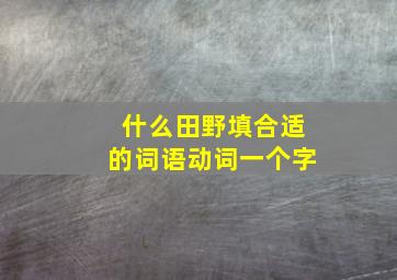 什么田野填合适的词语动词一个字