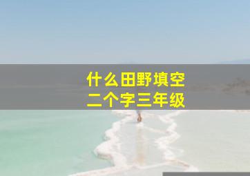 什么田野填空二个字三年级