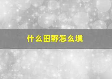 什么田野怎么填