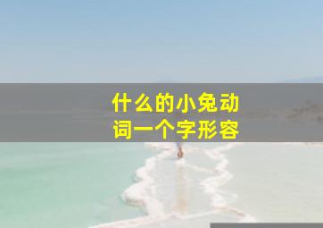 什么的小兔动词一个字形容