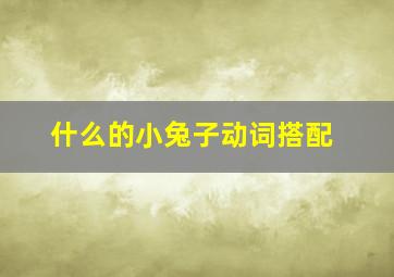 什么的小兔子动词搭配