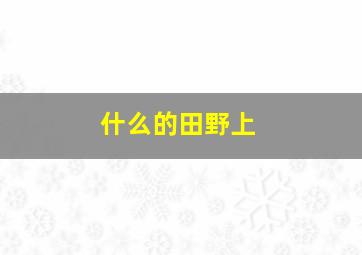 什么的田野上