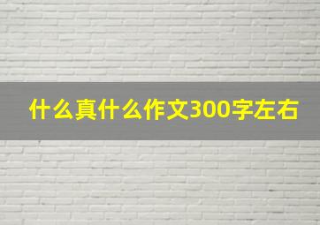 什么真什么作文300字左右