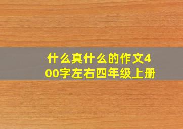 什么真什么的作文400字左右四年级上册