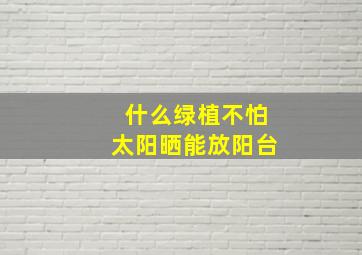 什么绿植不怕太阳晒能放阳台