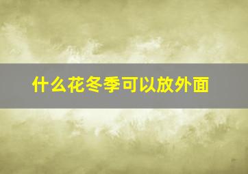 什么花冬季可以放外面