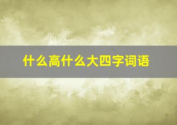 什么高什么大四字词语