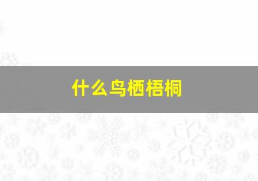 什么鸟栖梧桐