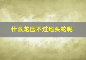 什么龙压不过地头蛇呢