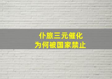 仆旅三元催化为何被国家禁止