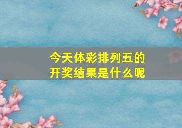 今天体彩排列五的开奖结果是什么呢