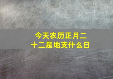 今天农历正月二十二是地支什么日