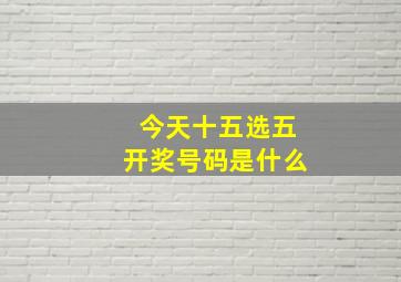 今天十五选五开奖号码是什么