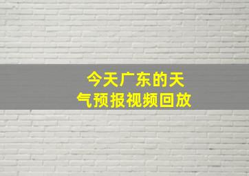 今天广东的天气预报视频回放