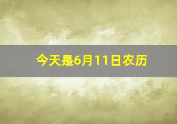 今天是6月11日农历