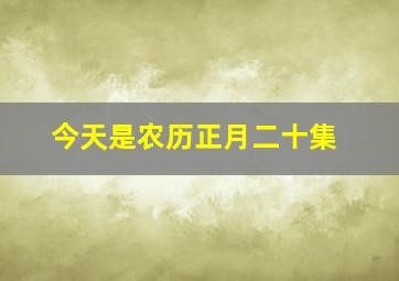 今天是农历正月二十集