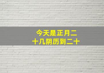 今天是正月二十几阴历到二十