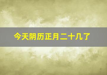 今天阴历正月二十几了