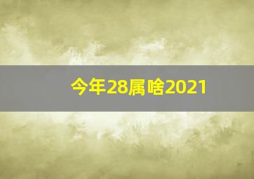 今年28属啥2021