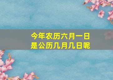 今年农历六月一日是公历几月几日呢