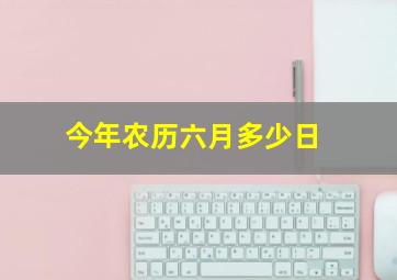 今年农历六月多少日