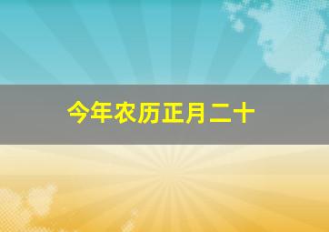 今年农历正月二十