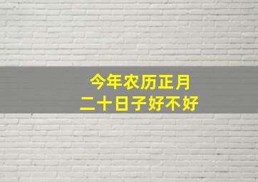 今年农历正月二十日子好不好