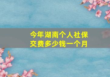 今年湖南个人社保交费多少钱一个月