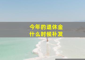 今年的退休金什么时候补发