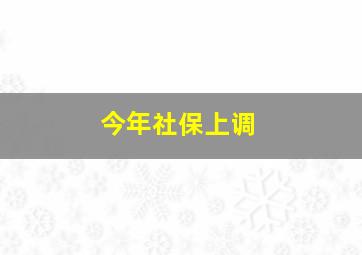 今年社保上调