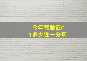 今年驾驶证c1多少钱一分啊