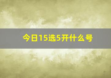 今日15选5开什么号