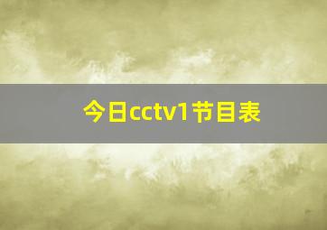 今日cctv1节目表