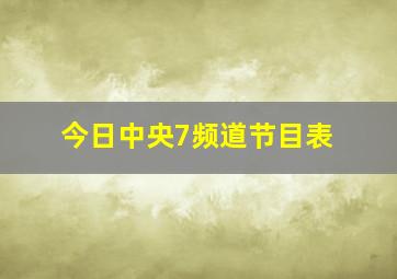 今日中央7频道节目表