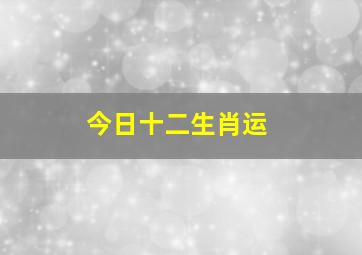 今日十二生肖运