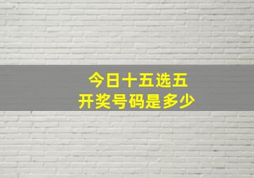 今日十五选五开奖号码是多少