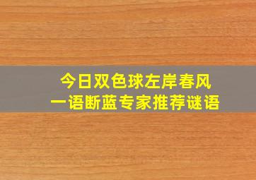 今日双色球左岸春风一语断蓝专家推荐谜语