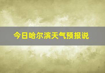 今日哈尔滨天气预报说