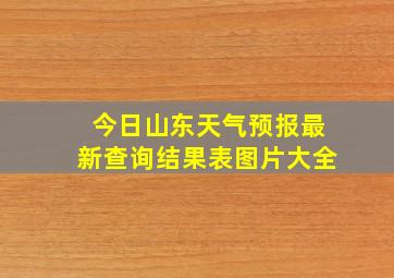 今日山东天气预报最新查询结果表图片大全