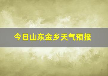 今日山东金乡天气预报