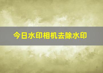 今日水印相机去除水印