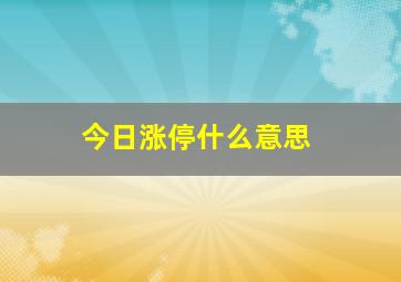 今日涨停什么意思