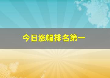 今日涨幅排名第一