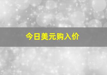 今日美元购入价